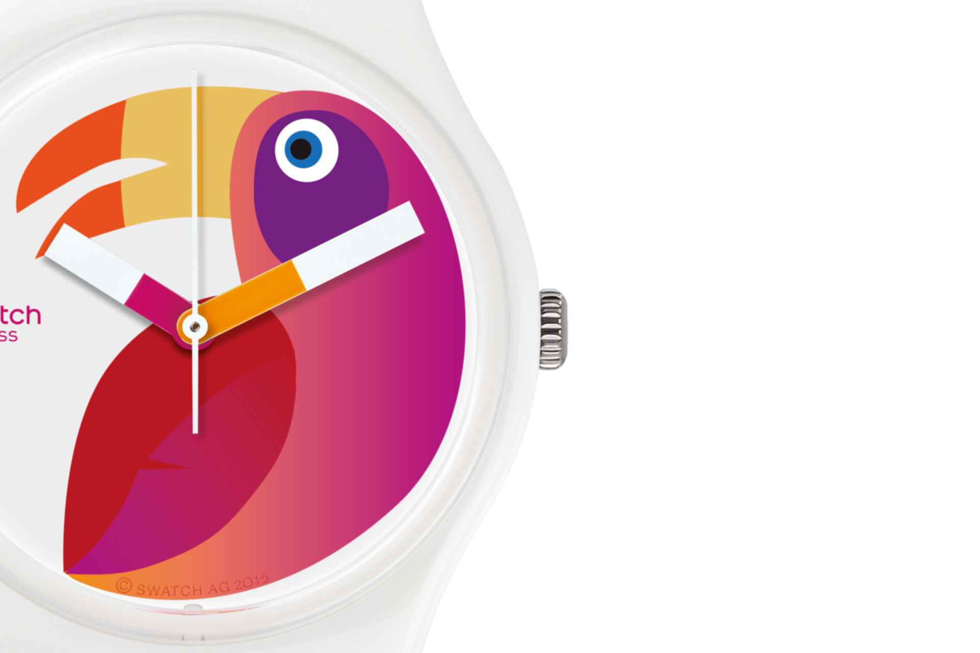 "PAPAGAYE" Gallery Image #1