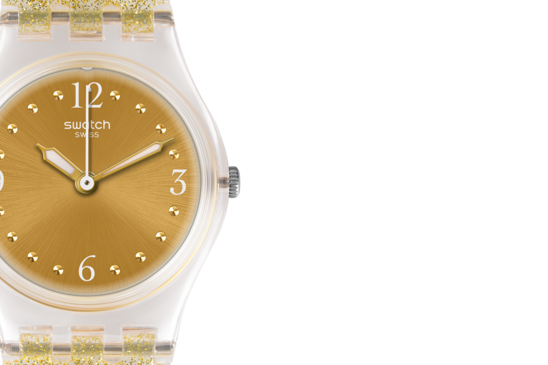 GOLDEN GLISTAR TOO "GOLDEN GLISTAR TOO" Gallery Image #1