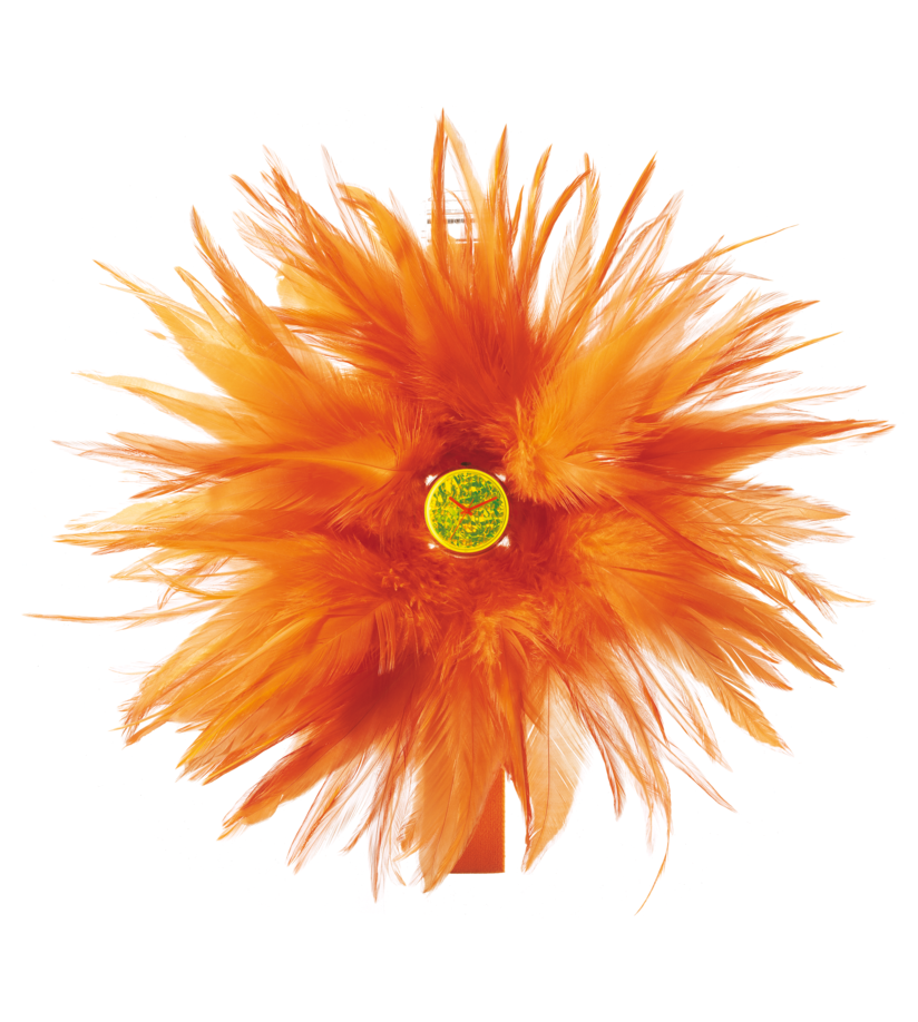 "FEATHERS" Image #0