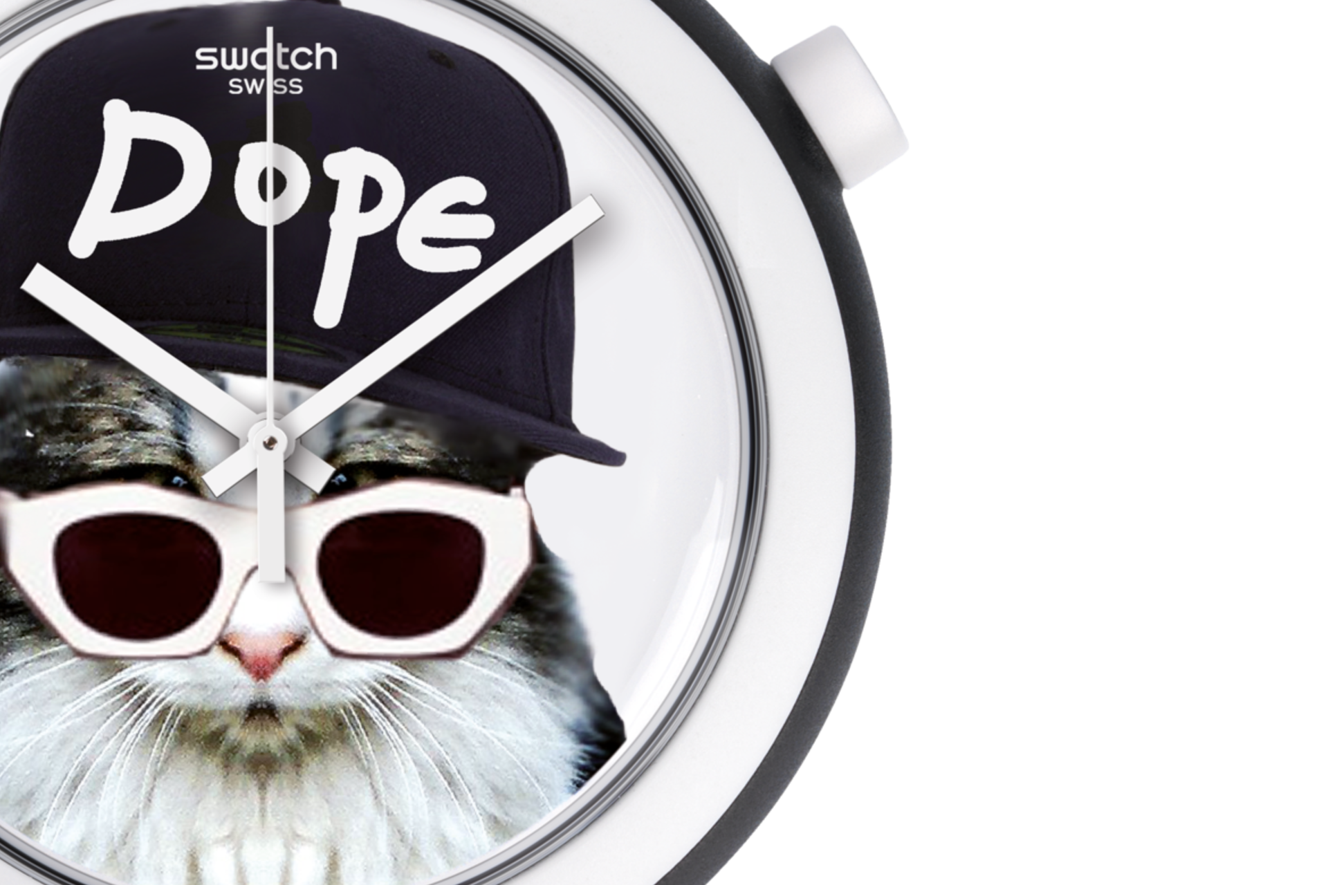 Cat Swag selling pop swatch