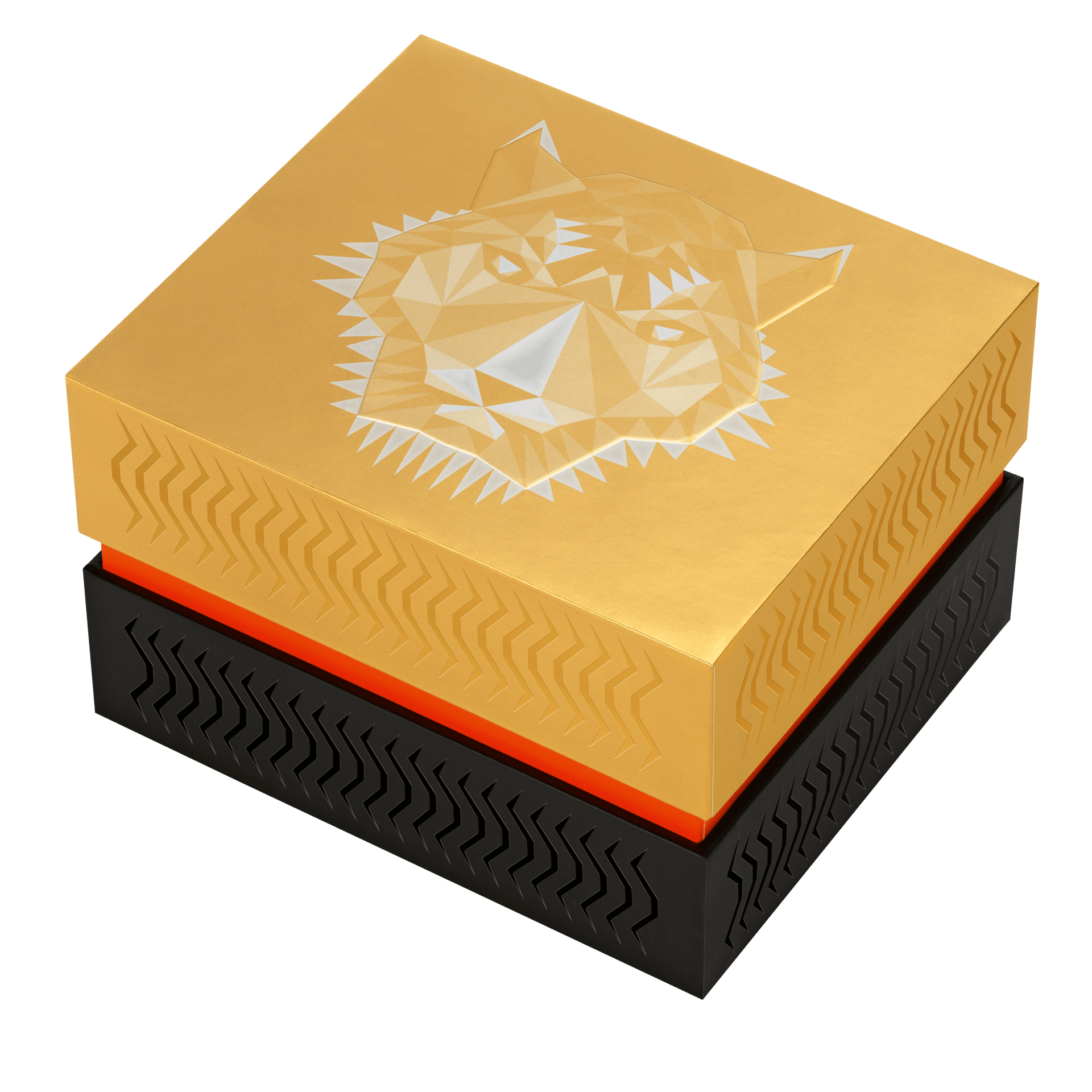 TIGER POWER 2022 "TIGER POWER 2022" Gallery Image #6