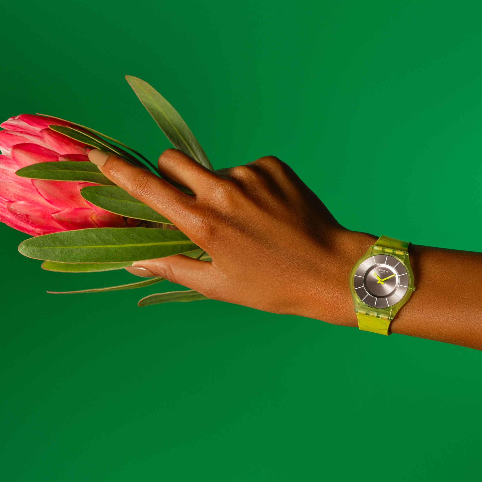 "PARADISE CANOPY" Gallery Image #1