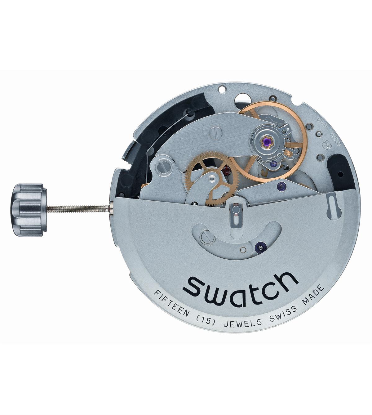 SIGN IN THE SKY (SVGK403) - Swatch® India