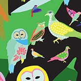 This is the Swatch canvas birds